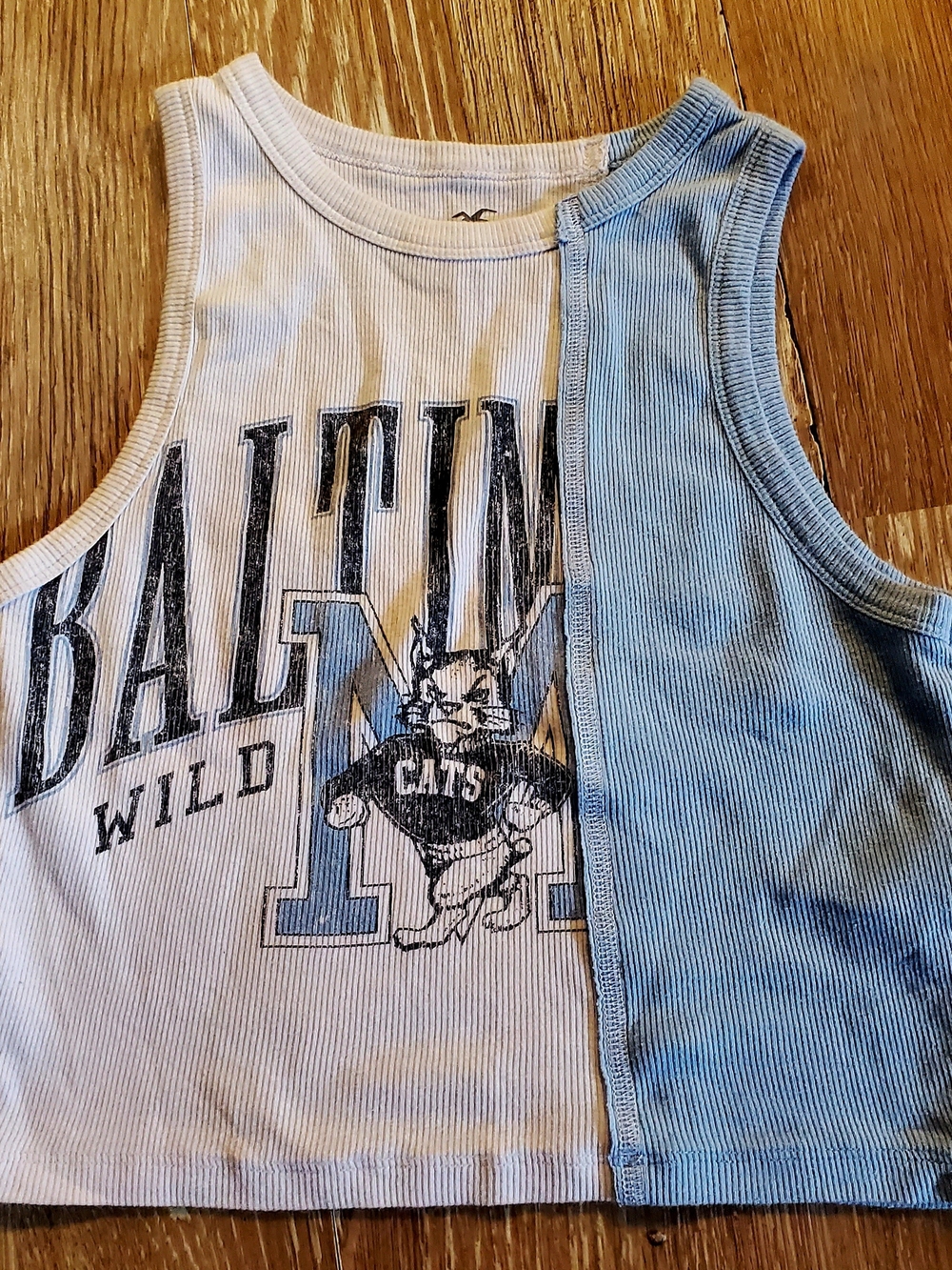 Hollister Two-Tone Split Graphic Cropped Tank Top - Blue & White